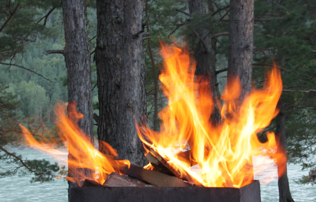 Photo wallpaper light, trees, nature, fire, grill