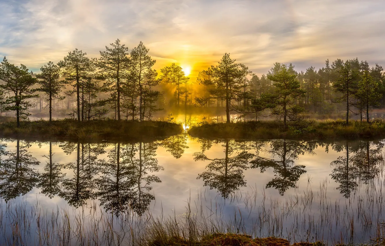 Photo wallpaper light, lake, morning