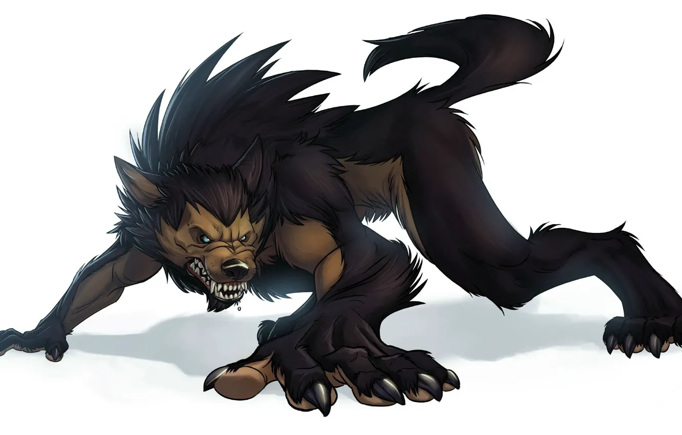 Wallpaper background, wolf, fantasy, art, beast, werewolf, lycanthrope ...