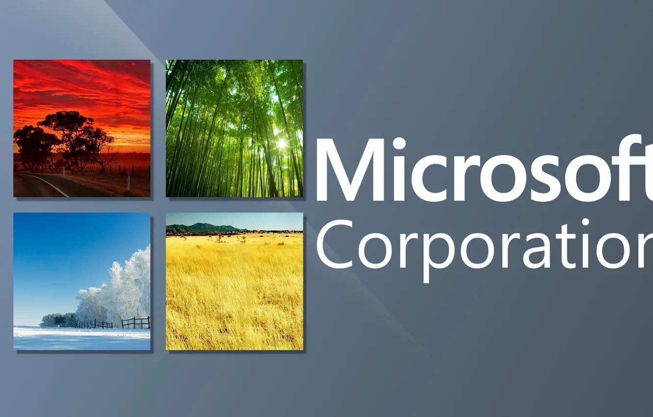 Photo wallpaper logo, window, Microsoft, Corporation