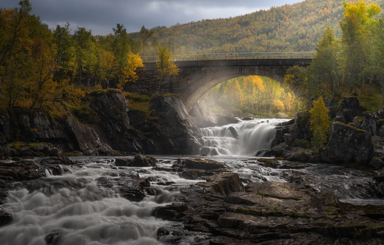 Photo wallpaper autumn, forest, trees, bridge, river, waterfall, cascade