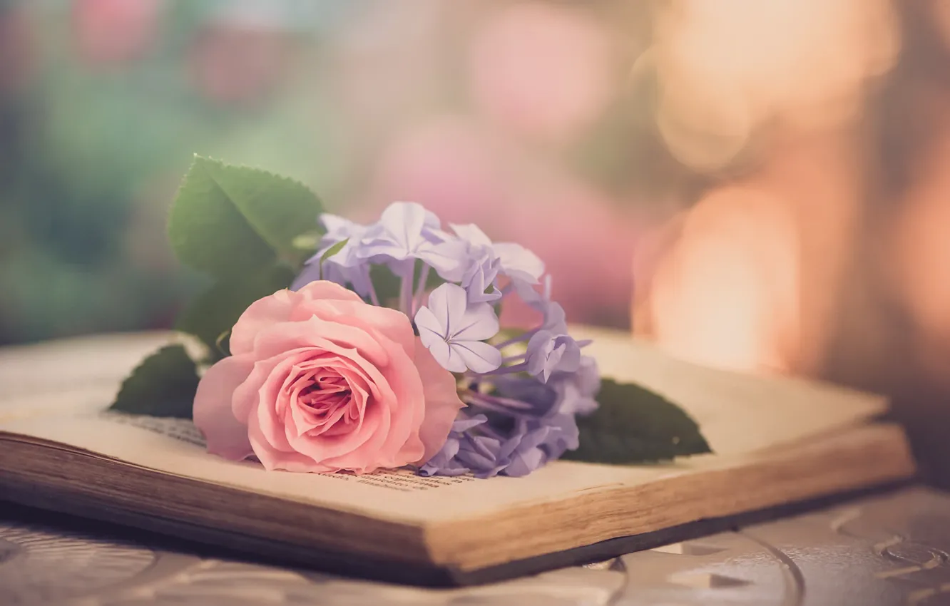 Photo wallpaper flowers, background, rose, book