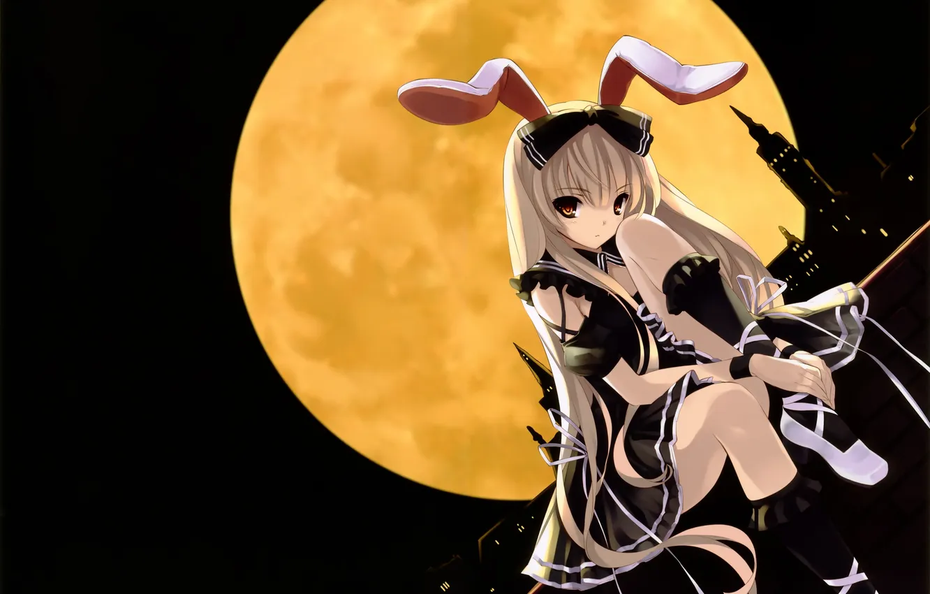 Photo wallpaper girl, night, the city, the moon, art, ears, neko, misaki kurehito