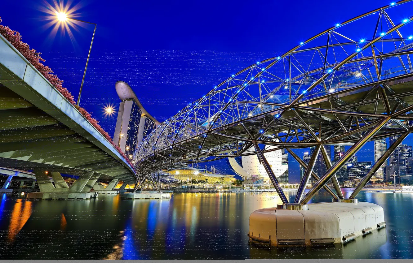 Photo wallpaper flowers, bridge, Asia, bowl, support, Singapore, the hotel, Singapore