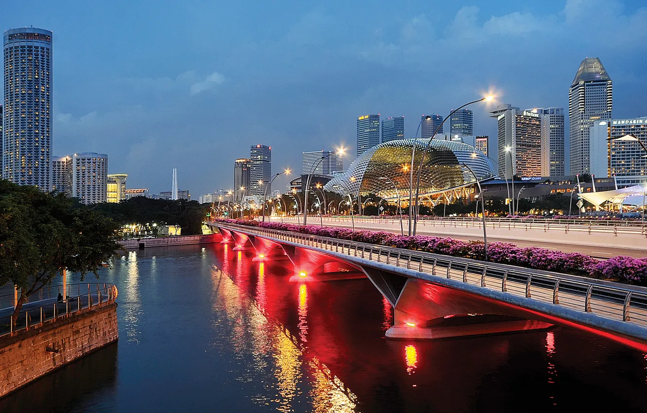 Photo wallpaper bridge, lights, home, the evening, Singapore, twilight