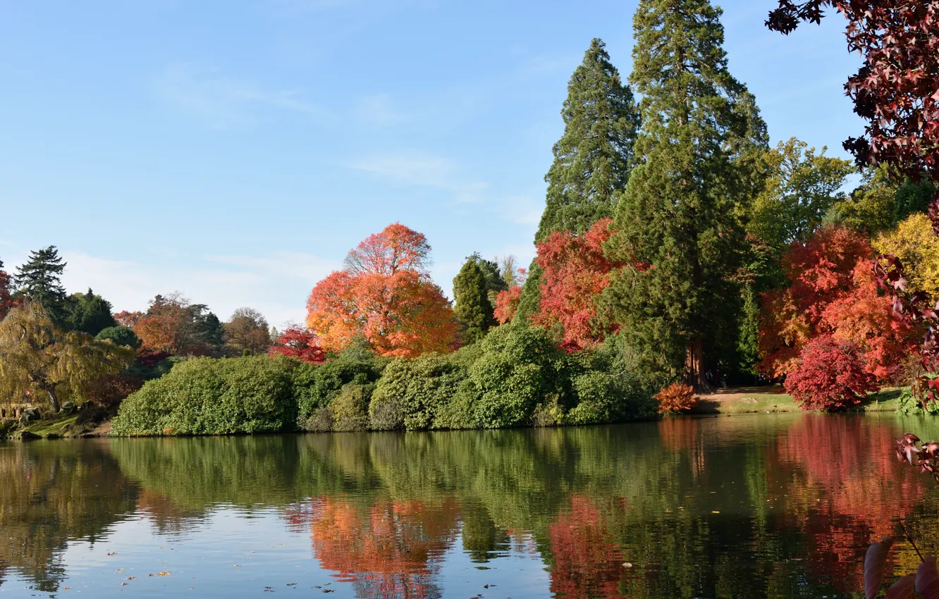Photo wallpaper autumn, lake, England, colors, autumn, lake, England, Sheffield park