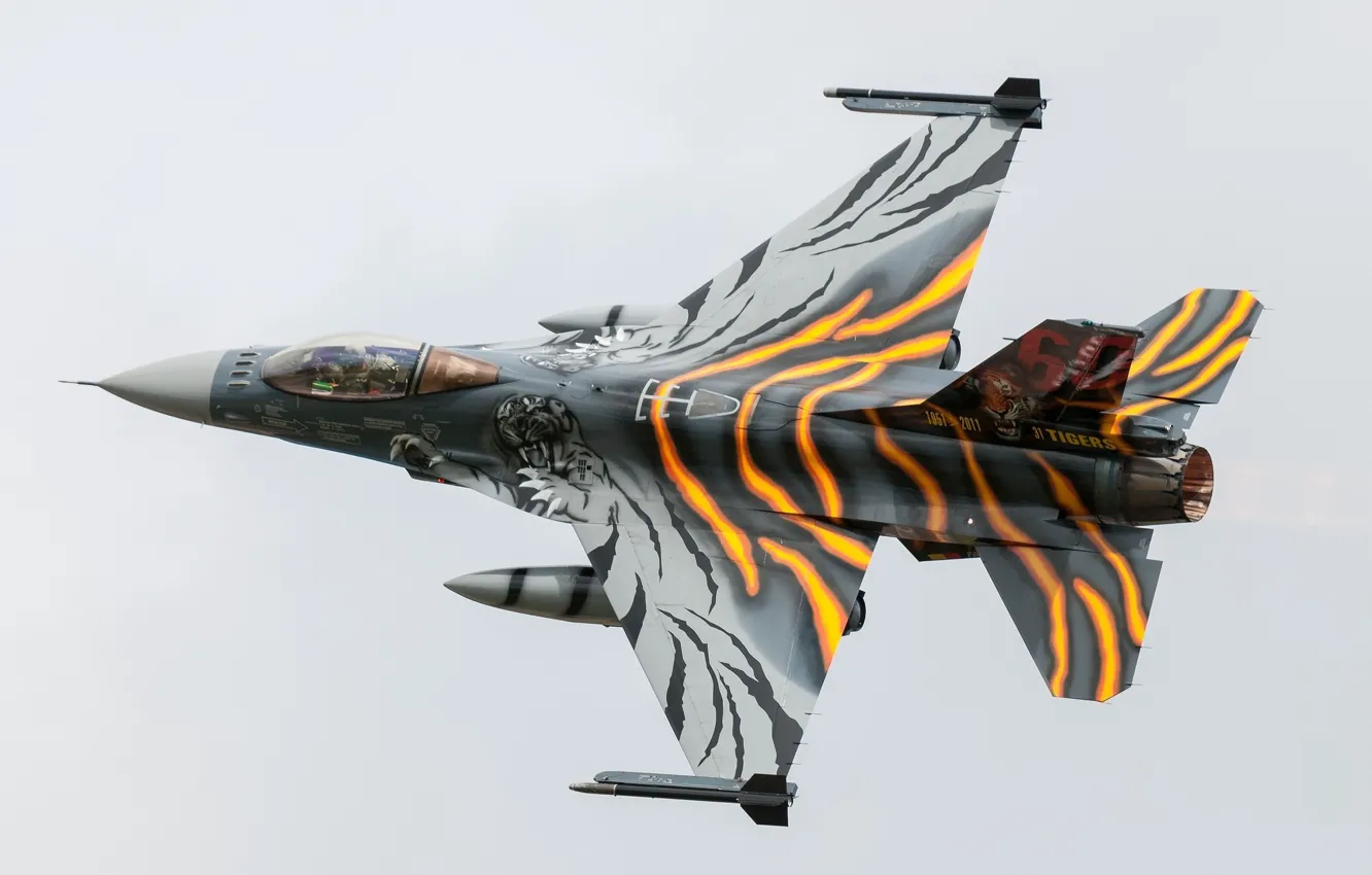 Photo wallpaper tiger, tuning, combat aircraft, General Dynamics F-16AM Fighting Falcon
