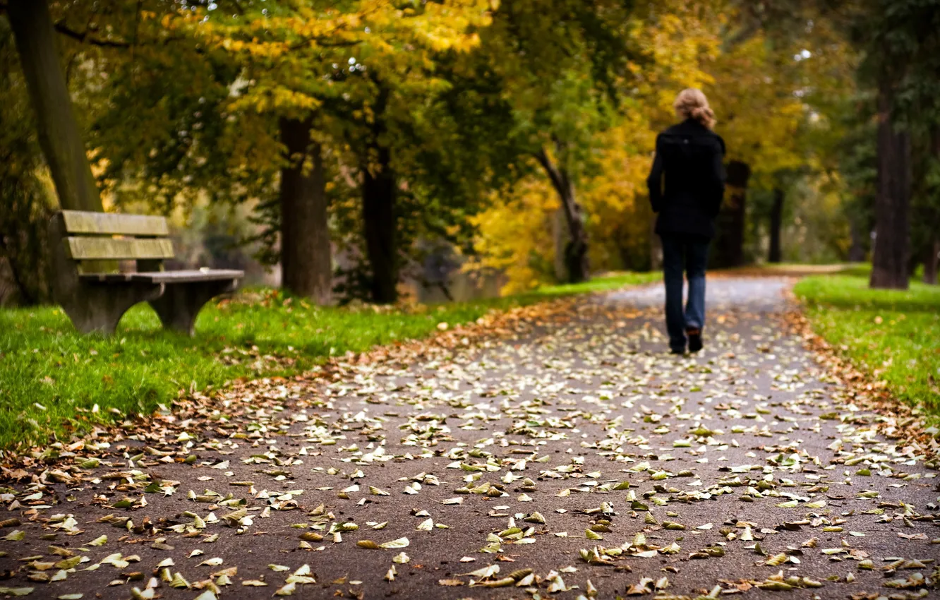 Photo wallpaper road, leaves, Park, mood