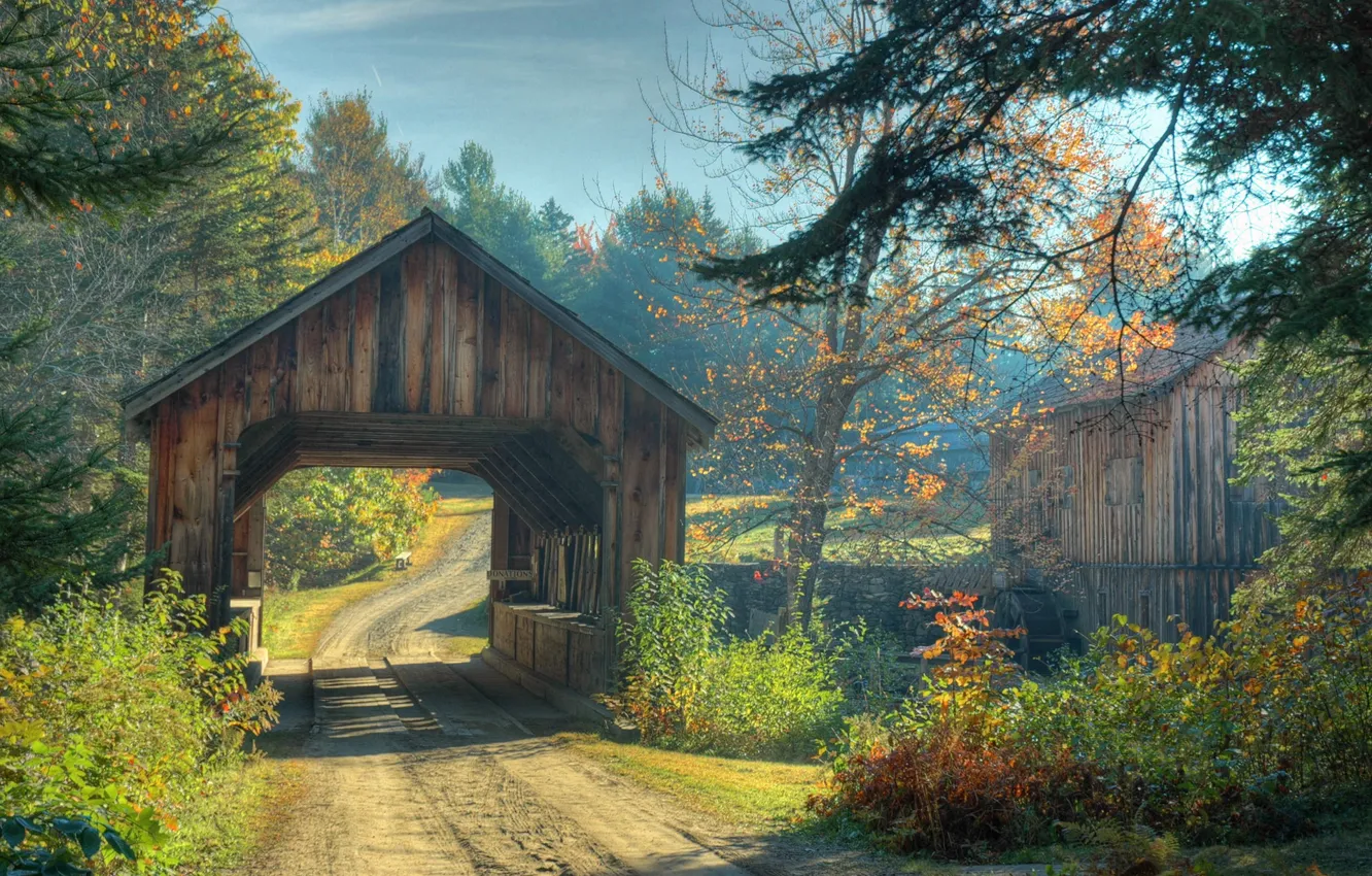 Photo wallpaper road, autumn, forest, trees, bridge, Nature