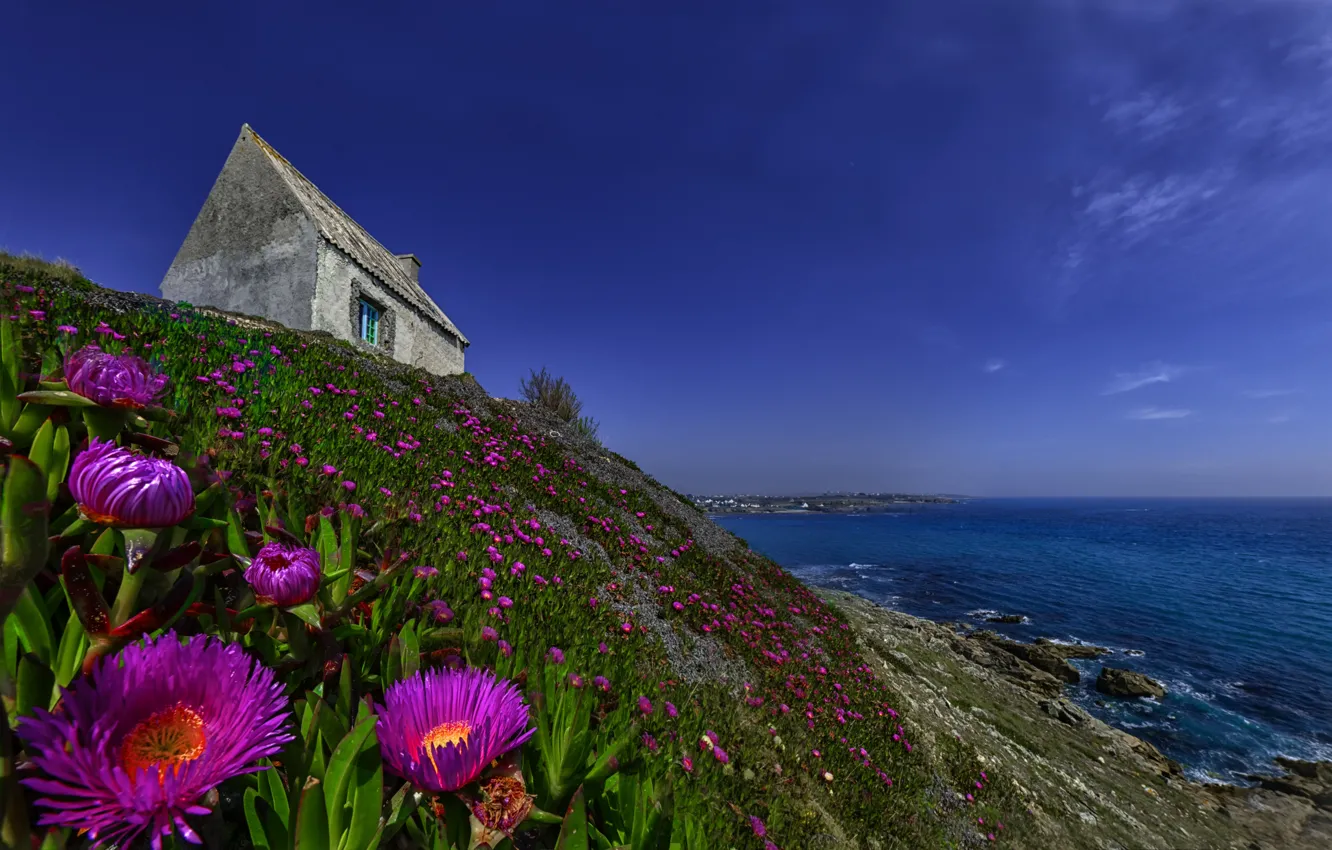 Photo wallpaper sea, landscape, flowers, nature, house, shore, slope