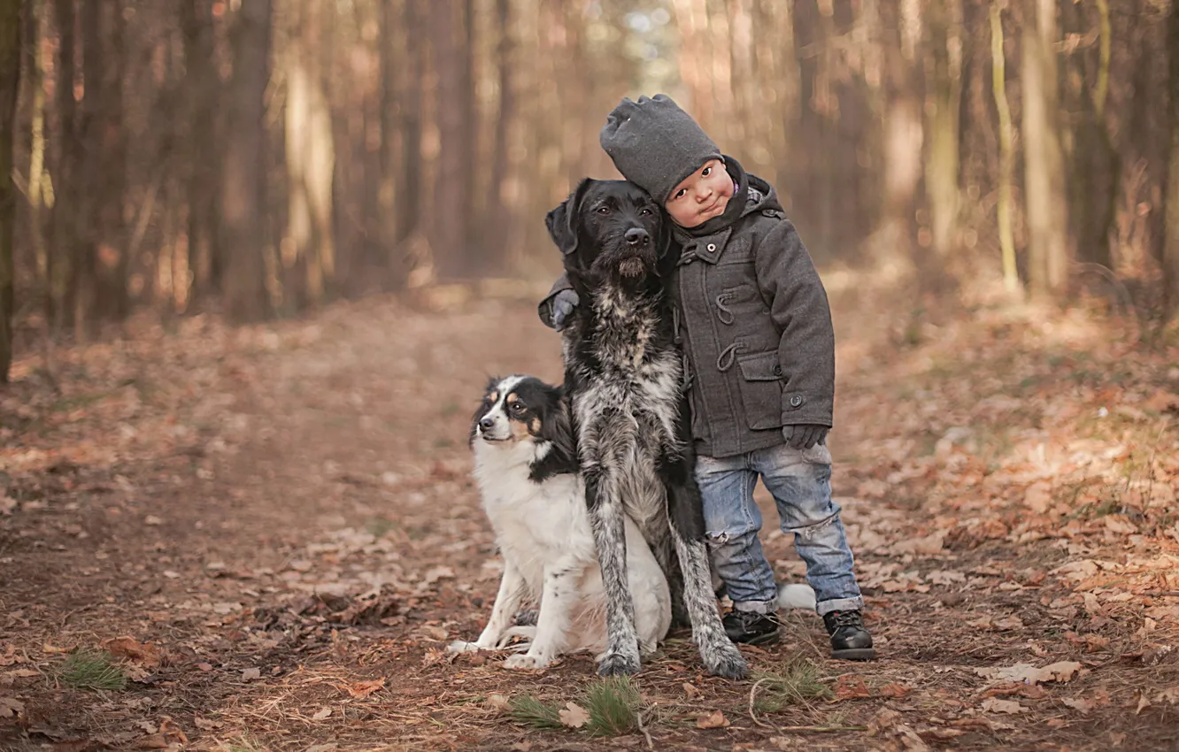 Photo wallpaper background, dog, boy