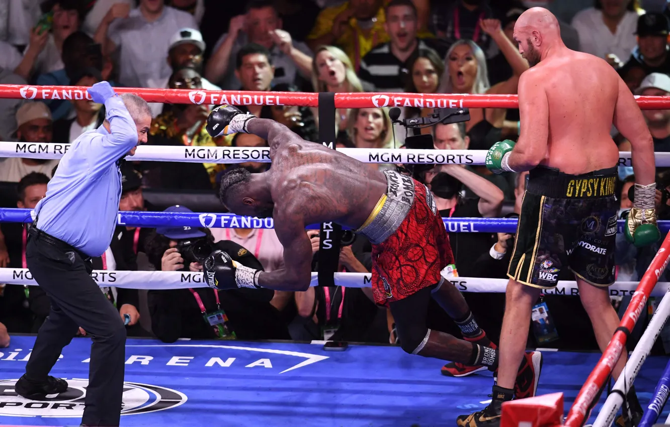 Photo wallpaper Boxing, Deontay Wilder, Tyson Fury, knockdown