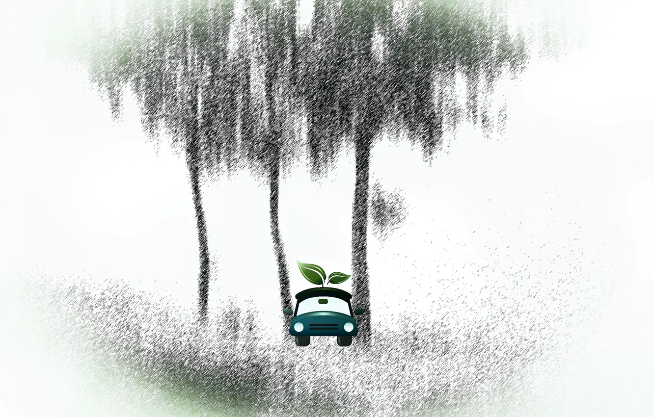 Photo wallpaper machine, leaves, trees