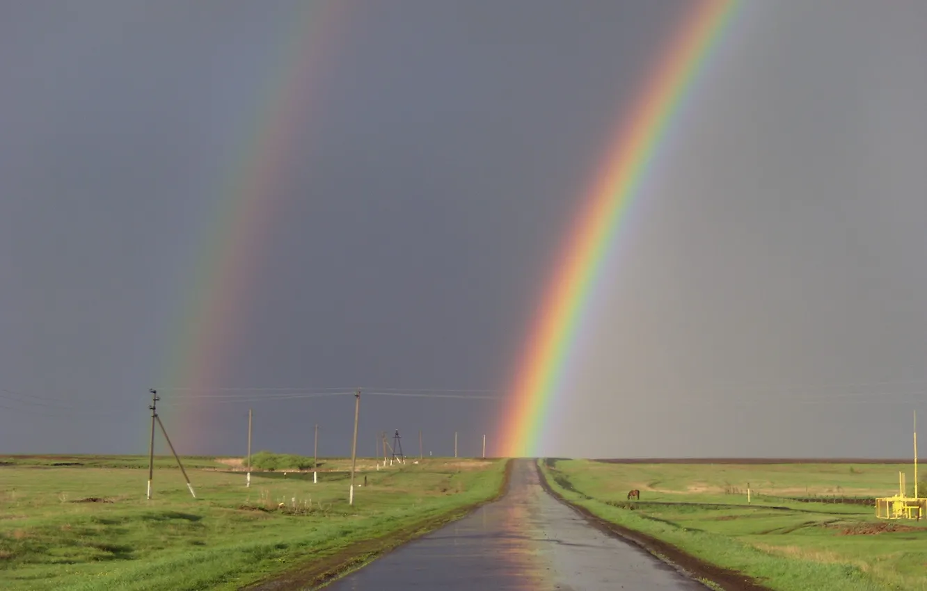 Photo wallpaper road, rainbow
