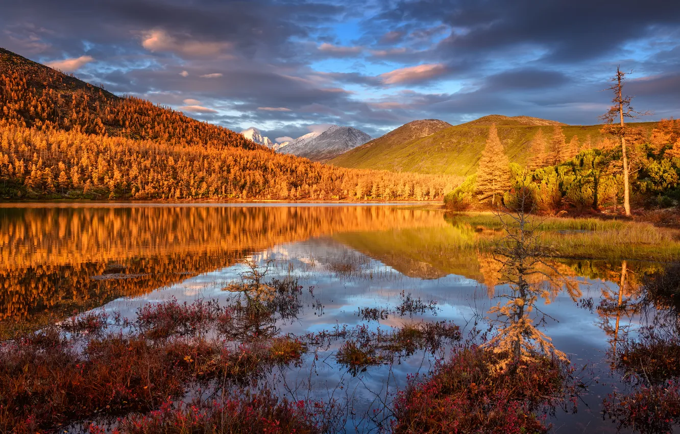 Photo wallpaper autumn, forest, clouds, river, horizon, the beauty of nature, Kolyma, Picturesque Landscape