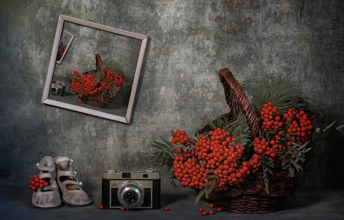 Photo wallpaper fantasy, the camera, still life, Rowan