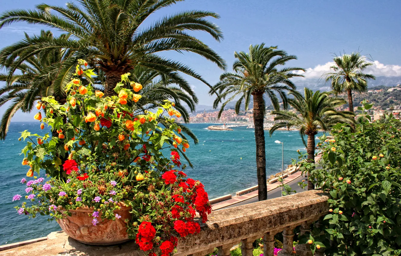 Photo wallpaper sea, flowers, palm trees, coast, France, home, Menton