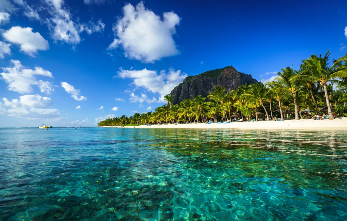Photo wallpaper rock, palm trees, the ocean, coast, boats, The Indian ocean, Mauritius, Mauritius