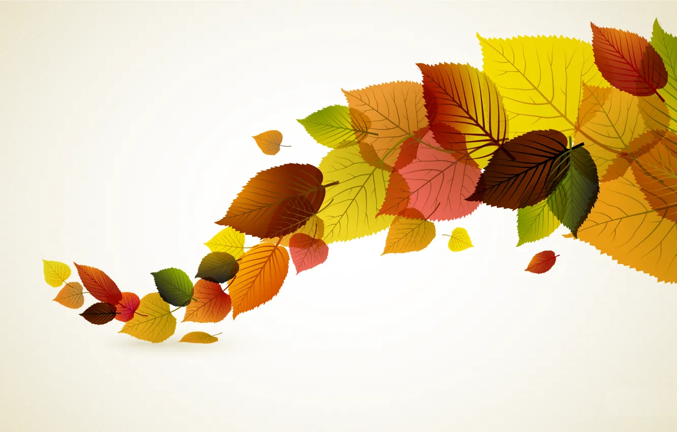 Photo wallpaper autumn, leaves, minimalism, vector