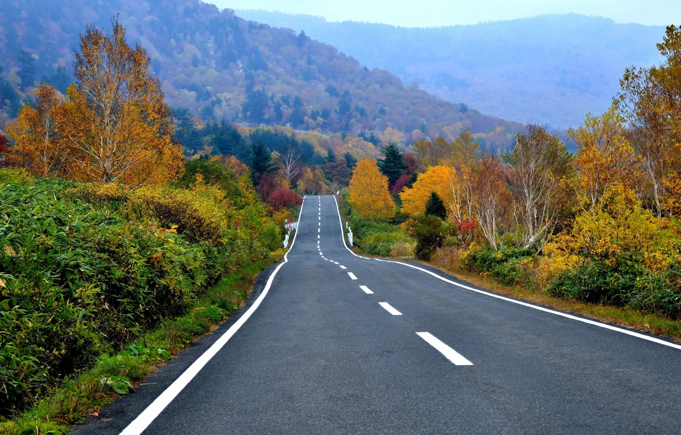 Photo wallpaper road, autumn, forest, trees, mountains, highway