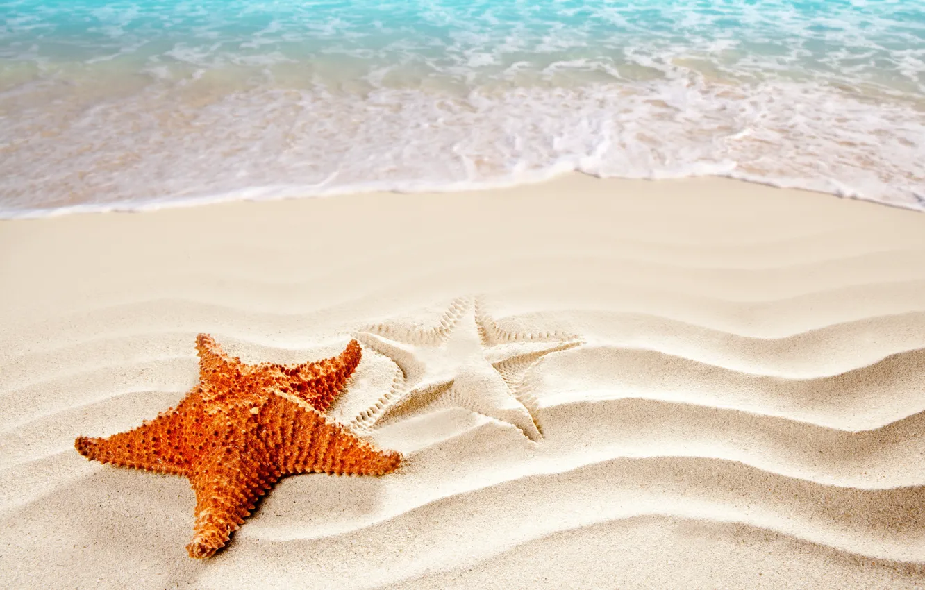 Photo wallpaper sand, sea, beach, silhouette, surf, starfish