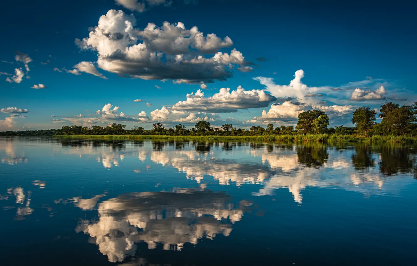 Photo wallpaper clouds, trees, reflection, river, Africa, Namibia, Namibia, The Okavango River
