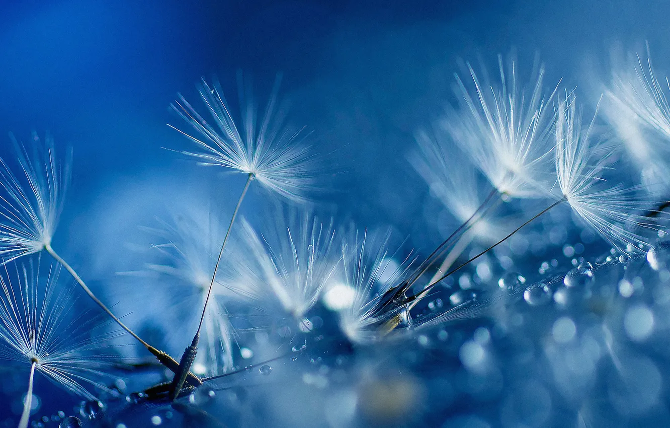 Photo wallpaper htc, sense, HTC ONE M8, One M8, Sense 6