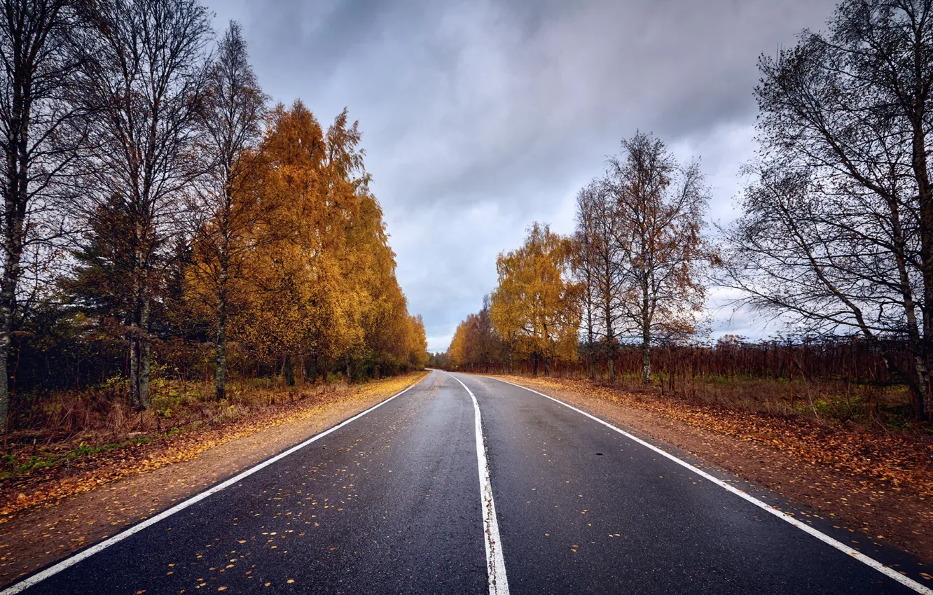 Photo wallpaper road, autumn, asphalt, leaves