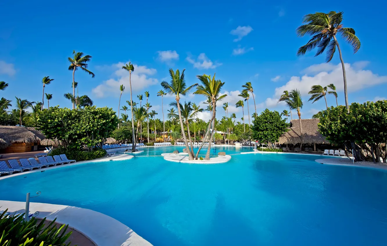 Photo wallpaper palm trees, pool, pool, Bungalow, palms, exterior, the loungers.