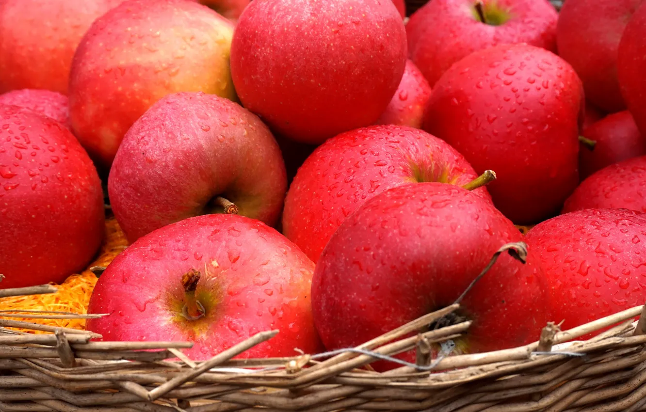 Photo wallpaper drops, close-up, red, basket, apples, food, harvest, fruit