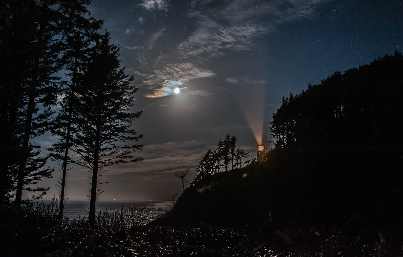 Photo wallpaper sea, the sky, clouds, trees, night, rock, lighthouse, The moon