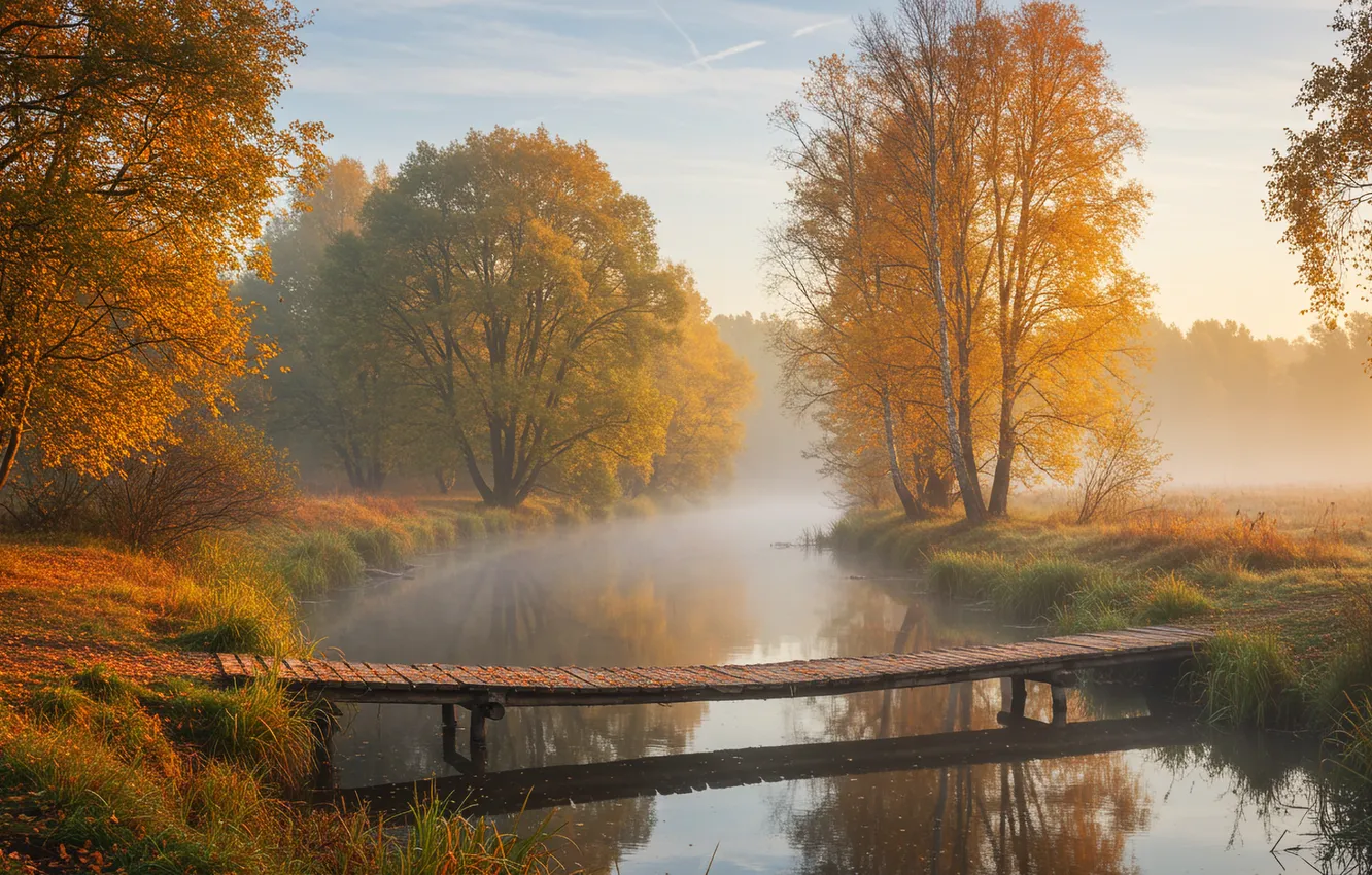 Photo wallpaper autumn, bridge, fog, river, dereaya