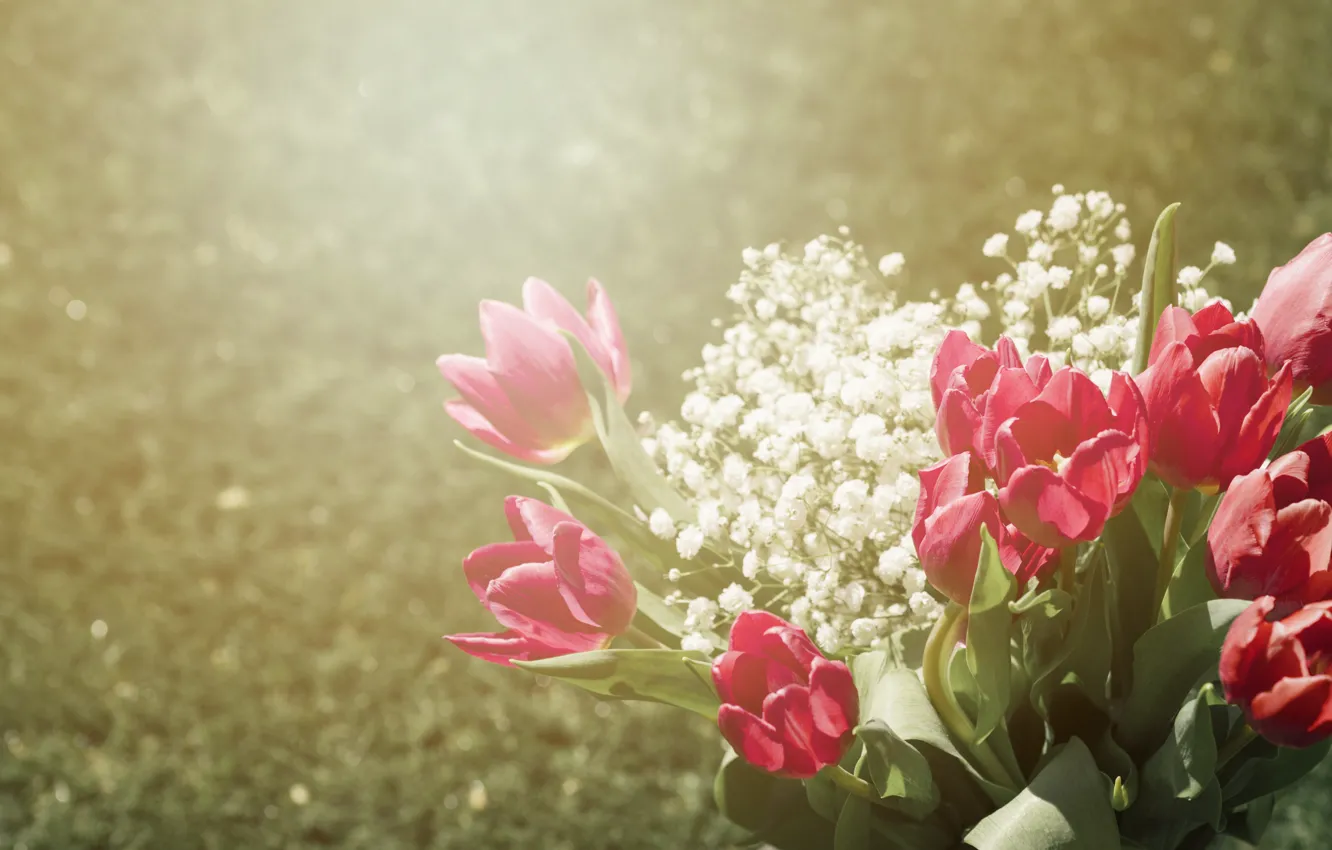 Photo wallpaper light, flowers, glade, bouquet, spring, tulips, red, haze