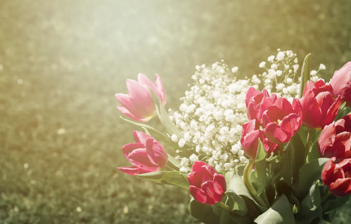 Photo wallpaper light, flowers, red, glade, bouquet, spring, tulips, haze