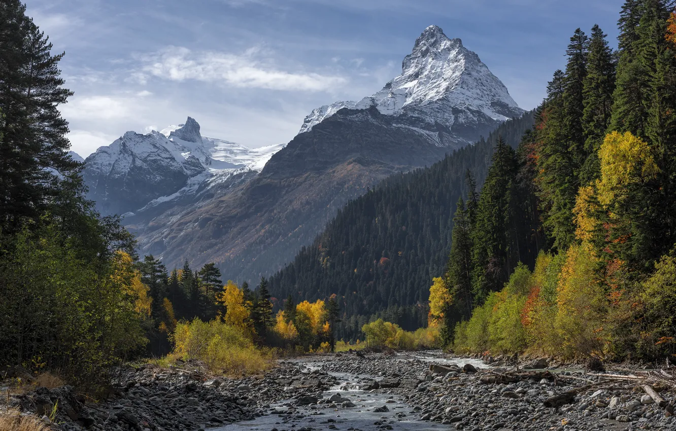 Photo wallpaper autumn, forest, mountains, The Caucasus, Dombai gorge, Top Bellaca