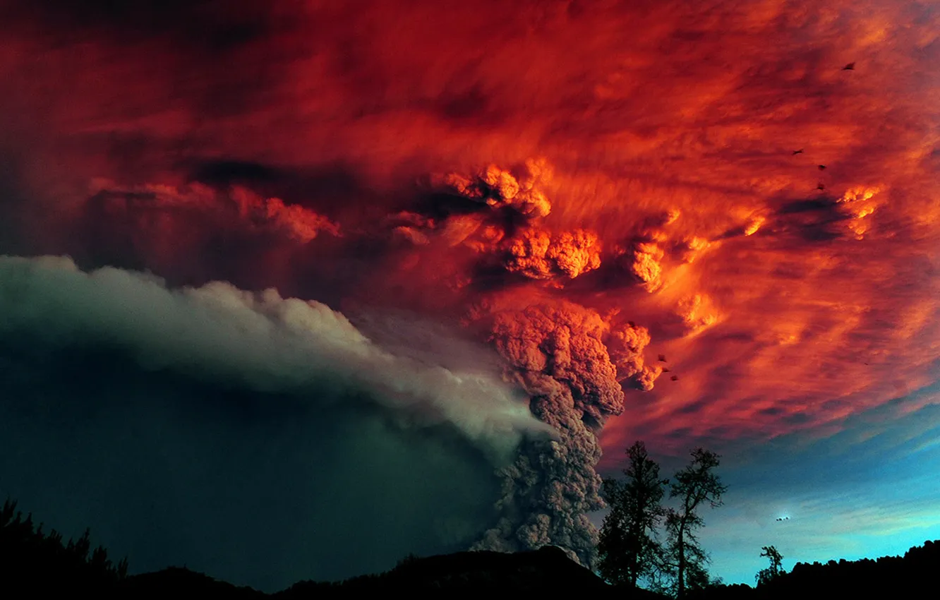 Photo wallpaper trees, ash, The volcano, the eruption, red sky