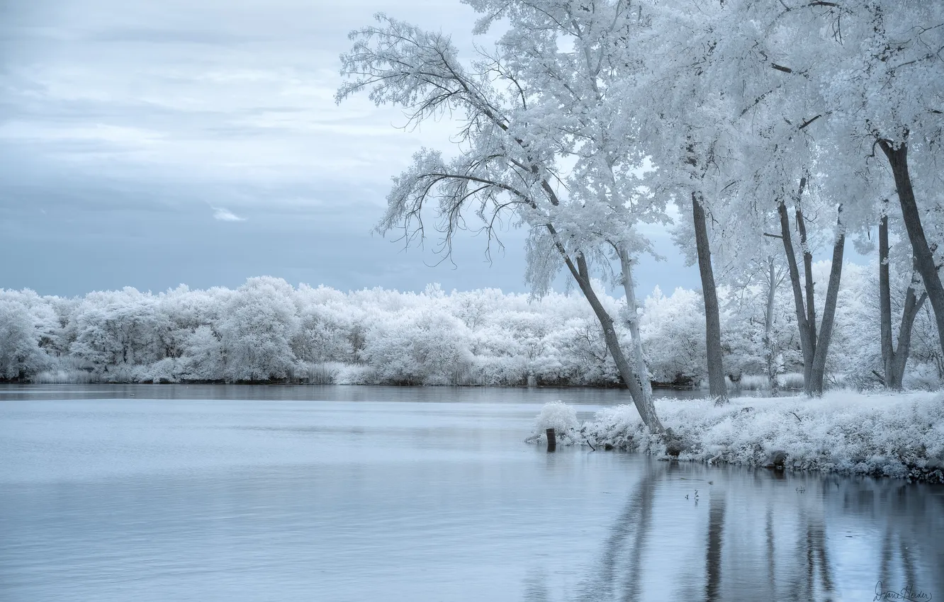 Photo wallpaper winter, frost, forest, clouds, snow, trees, nature, lake