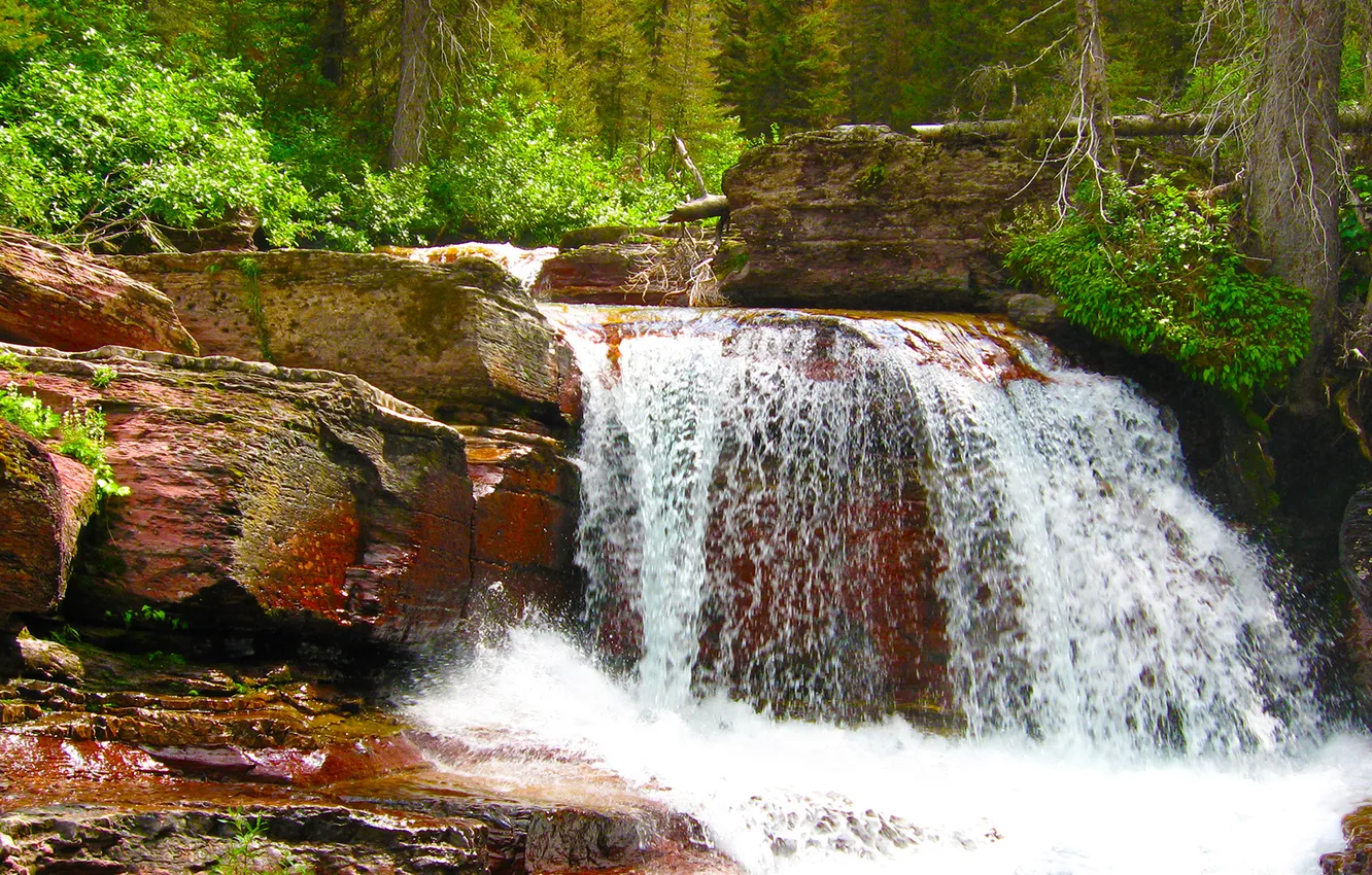 Photo wallpaper forest, rocks, waterfall