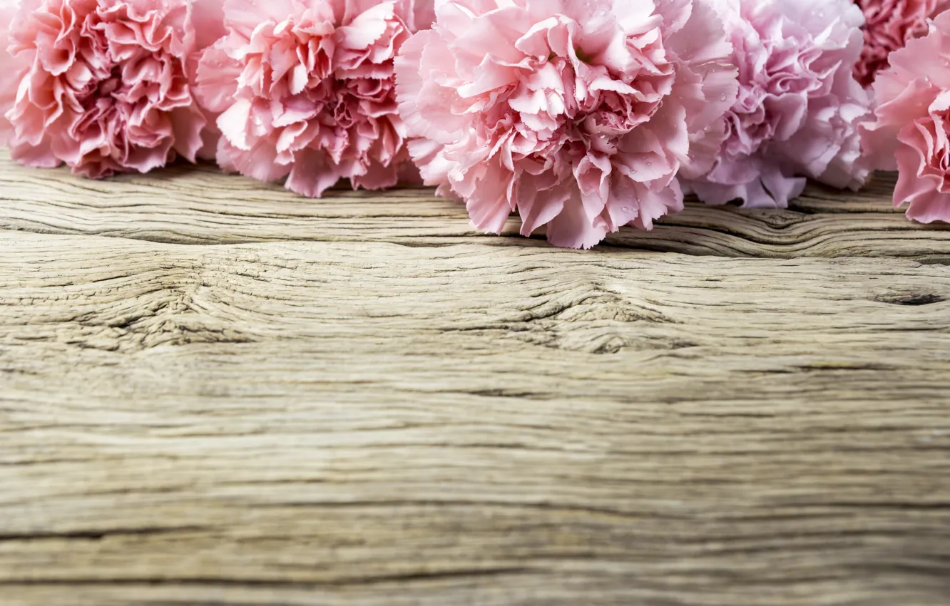 Photo wallpaper flowers, petals, pink, wood, pink, flowers, beautiful, clove
