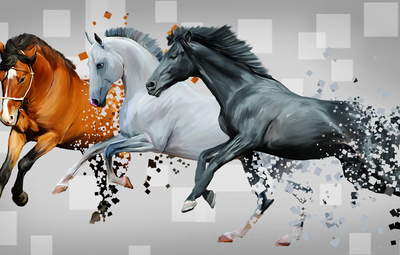 Photo wallpaper horses, abstraction, horse