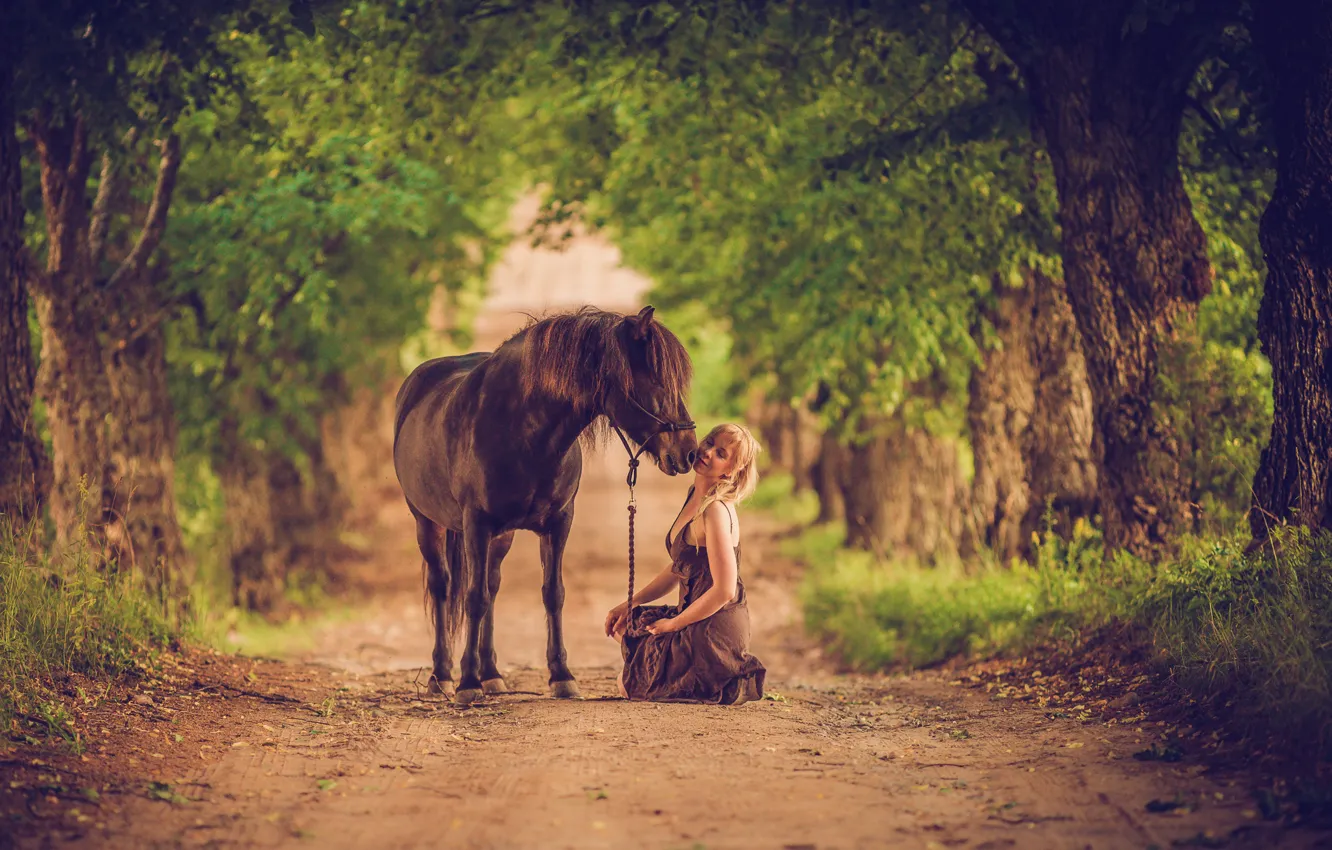 Photo wallpaper road, trees, woman, hair, horse, lips, farm, love. dress