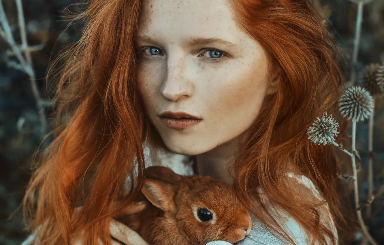 Photo wallpaper look, girl, face, hair, portrait, rabbit, freckles, red
