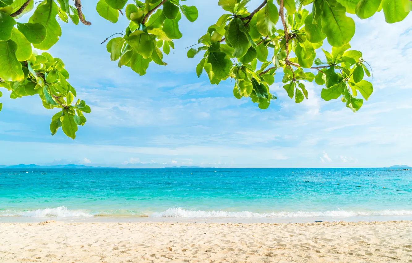 Photo wallpaper sand, sea, beach, summer, the sky, palm trees, summer, beach