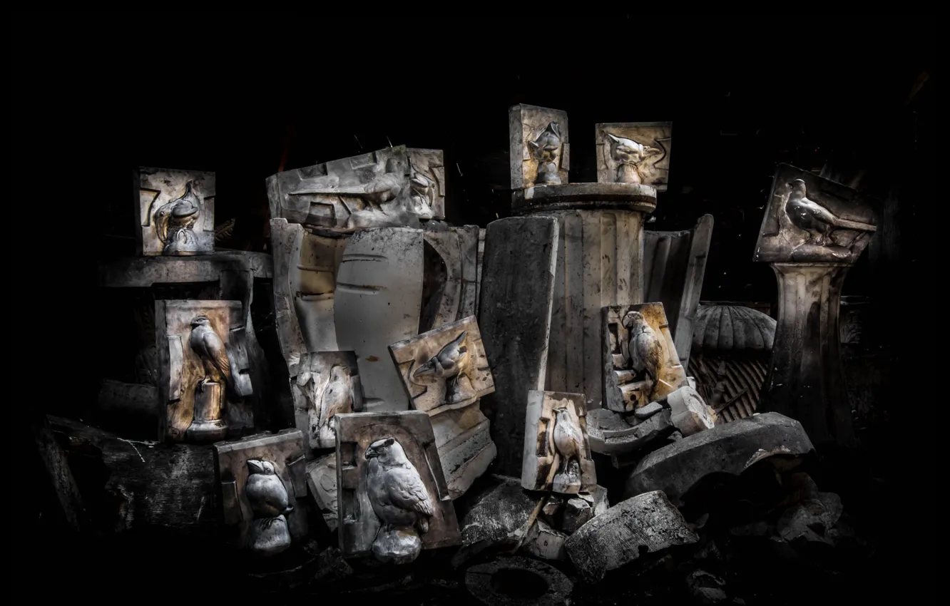 Photo wallpaper background, bird, form