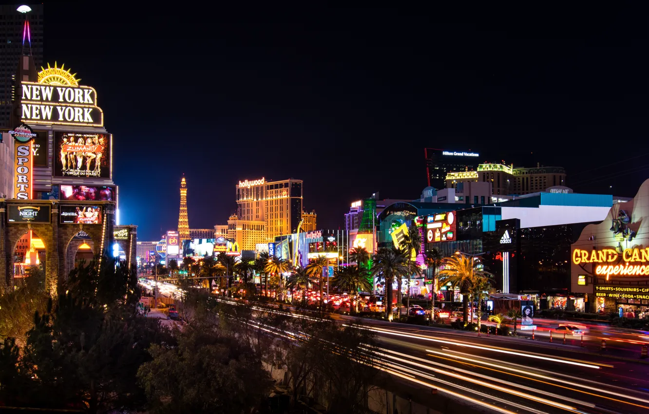 Photo wallpaper road, night, lights, palm trees, home, Las Vegas, lights, USA