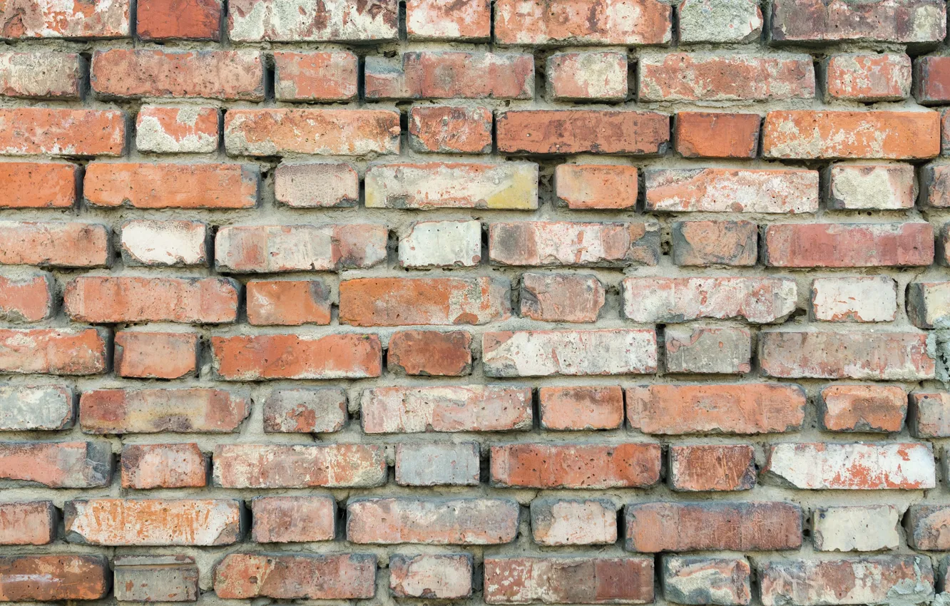 Photo wallpaper wall, brick, texture, cement, brick wall, brickwork
