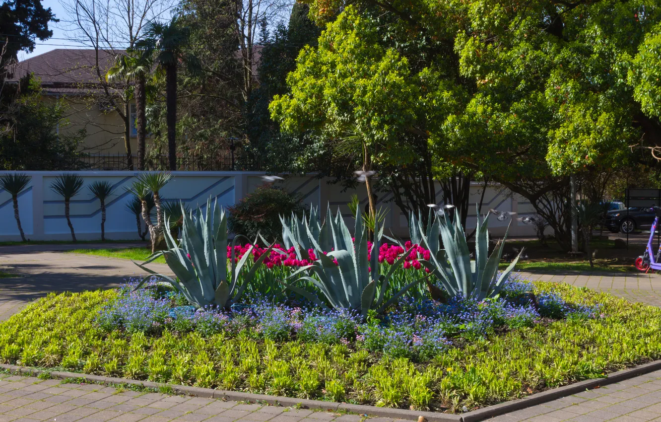 Photo wallpaper trees, flowers, bird, plant, building, home, pigeons, tulips