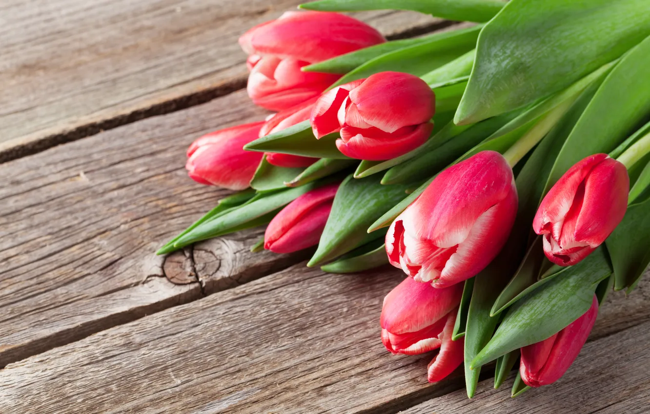 Photo wallpaper flowers, red, bouquet, tulips, red, wood, flowers, tulips