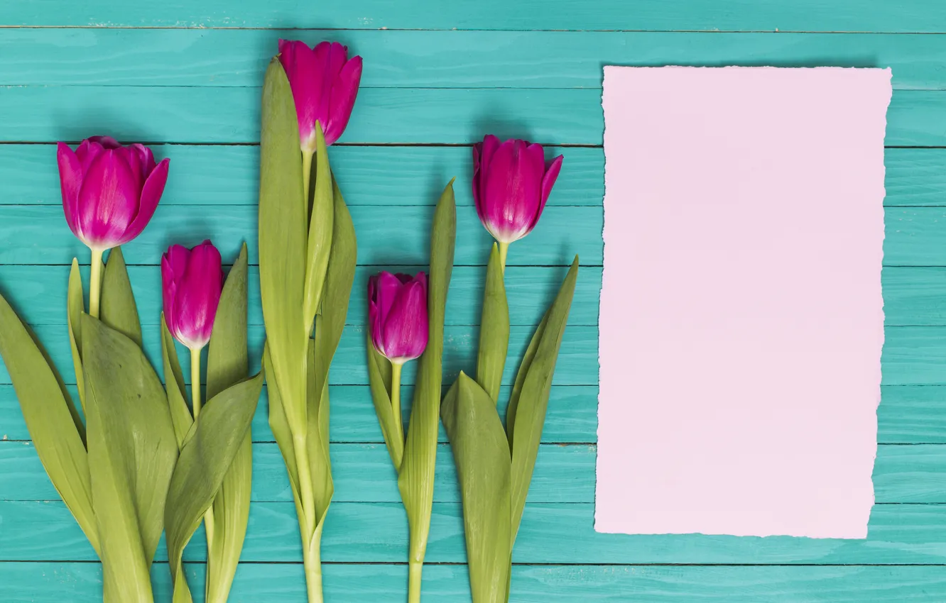Photo wallpaper flowers, colorful, tulips, pink, wood, pink, flowers, tulips