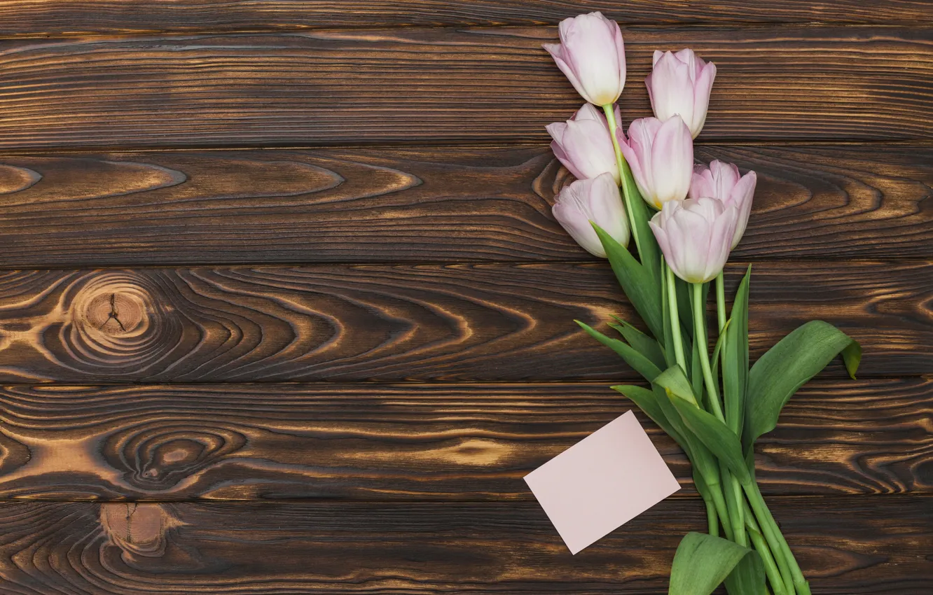 Photo wallpaper tulips, pink, wood, pink, tulip, bouguet